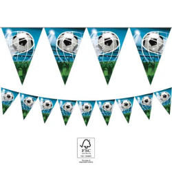 Soccer Fans, Focis...