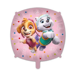 Paw Patrol Skye and...
