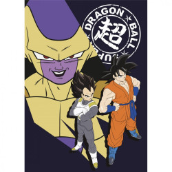 Dragon Ball polár takaró...