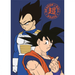Dragon Ball polár takaró...