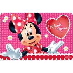 Disney Minnie Flowers...