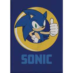 Sonic a sündisznó polár...
