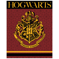 Harry Potter Crest polár...