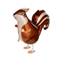 Squirrel, Mókus sétáló...