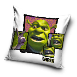 Shrek párnahuzat 40x40 cm...