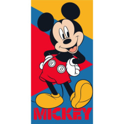 Disney Mickey Pose...