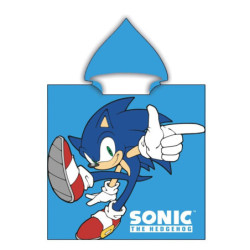 Sonic a sündisznó Dude...