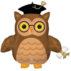 Ballagás Wise Owl fólia...