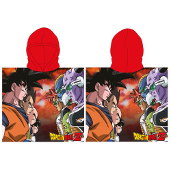 Dragon Ball Combat strand...