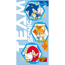 Sonic a sündisznó Team...