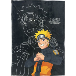 Naruto Training flanel...