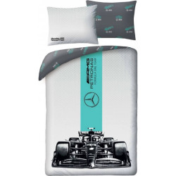 Mercedes AMG Petronas...