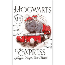 Harry Potter Express...