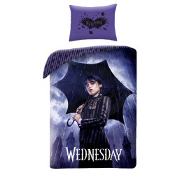 Wednesday Rainy Day...