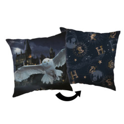Harry Potter Hogwarts...