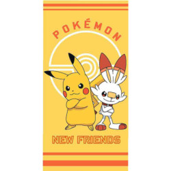 Pokémon New Friends...