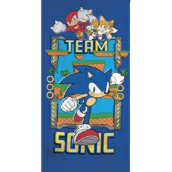 Sonic a sündisznó...