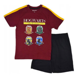 Harry Potter Witchcraft...