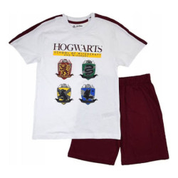 Harry Potter Witchcraft...