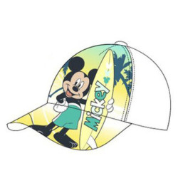 Disney Mickey Surfboard...