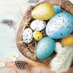 Húsvét Eggs with Feathers...