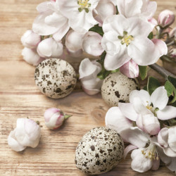 Húsvét Quail Eggs szalvéta...