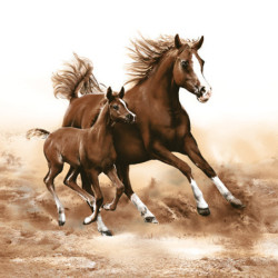 Lovas Mare with Foal...