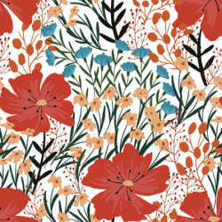 Pipacs Wild Flowers...