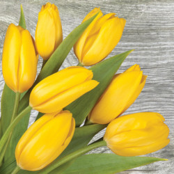 Sárga tulipán On Wood...