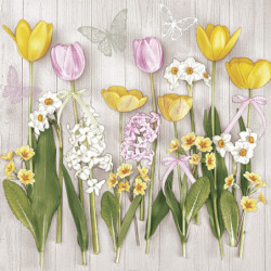 Tulipán Spring Flowers...