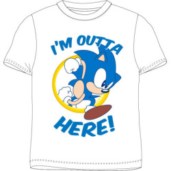 Sonic a sündisznó Here...