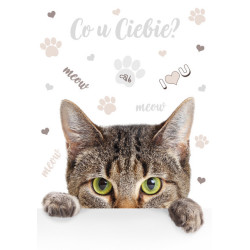 Cicás Meow A/4 gumis mappa