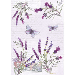Levendula Butterfly A/4...