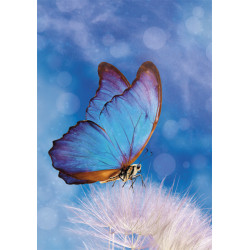 Természet Butterfly A/4...