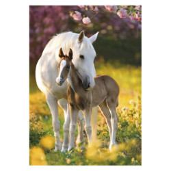 Lovas Spring Foal A/4 gumis...