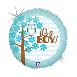 Baby Boy Owl Holo fólia...