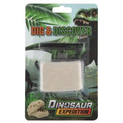 Mini dinoszaurusz...