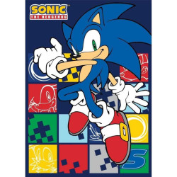 Sonic a sündisznó Blue Blur...