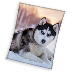 Kutyás Husky coral fleece...