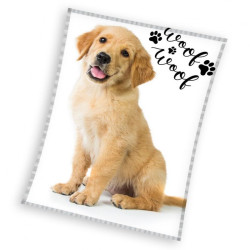 Kutyás Golden Retriever...