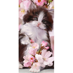 Cicás Bloomy Purr...