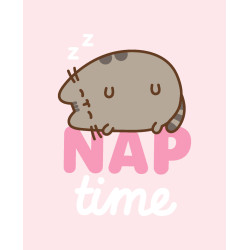 Pusheen Nap Time flanel...