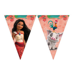 Disney Vaiana Sailing...