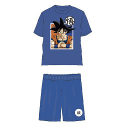 Dragon Ball Saiyan Blue...