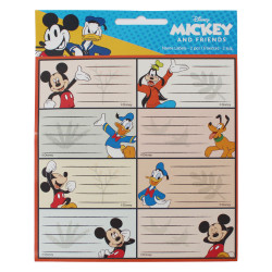 Disney Mickey Fun...