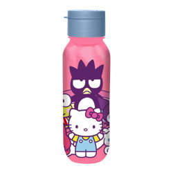 Hello Kitty and Friends...