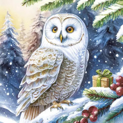 Karácsony Owl in Forest...