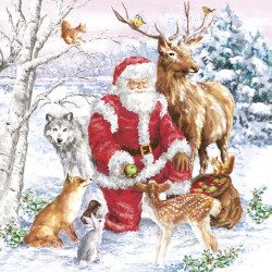 Karácsony Santa & Animals...