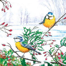 Karácsony Winter Tits...