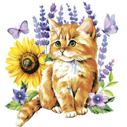 Cicás Watercolour Kitten...